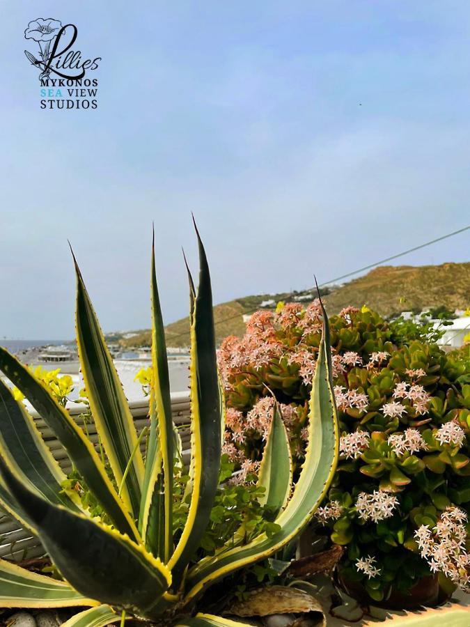 Lillies Mykonos Sea View Studios Tourlos Dış mekan fotoğraf